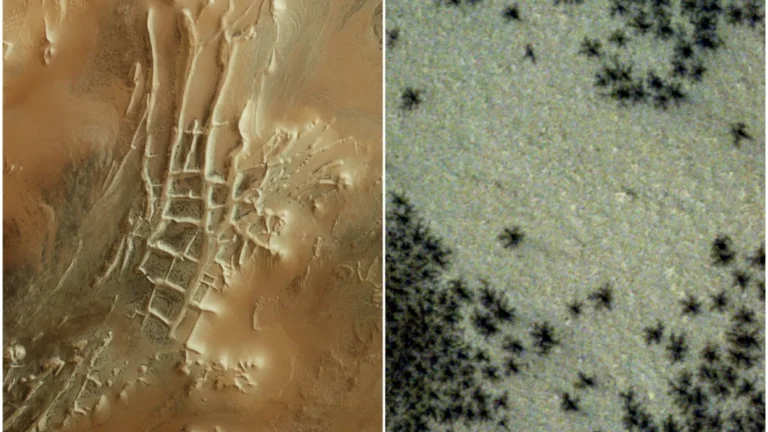 Hundreds of ‘Black Spiders’ spotted in mysterious ‘Inca City’ region On Mars